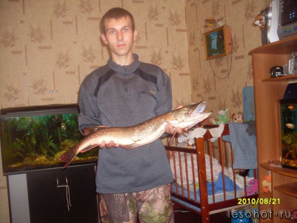 SDC11219.JPG