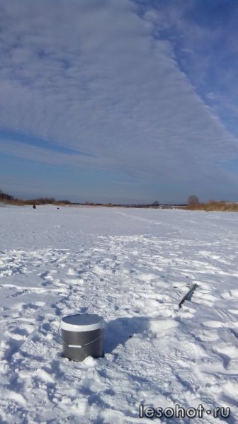 IMG_20150218_145623.jpg