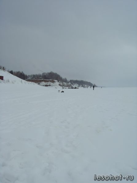 SDC19944.JPG