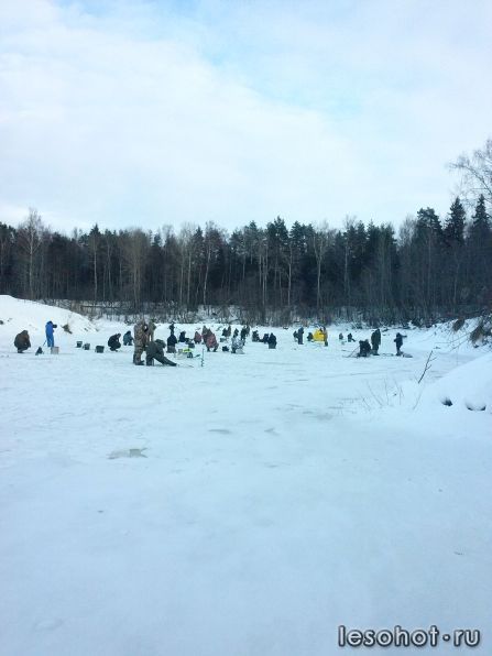 CAM00105.jpg