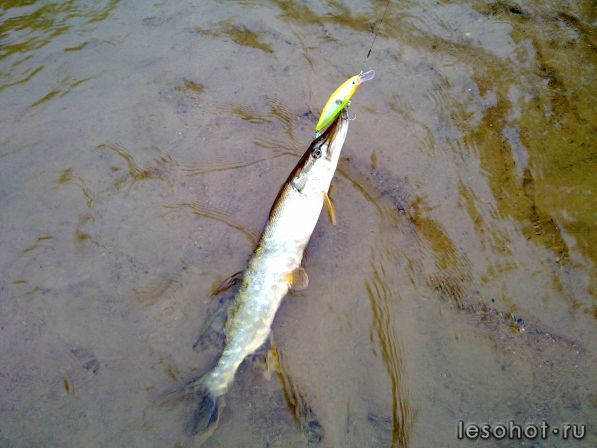 07092012516.jpg