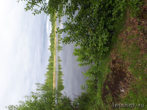 20180613_175042.jpg