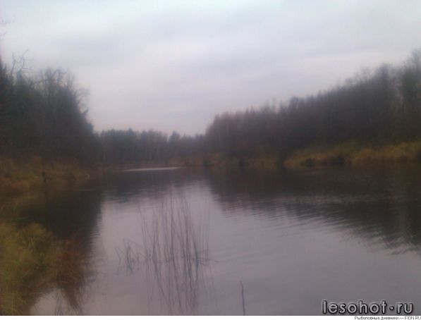 ���� - �����