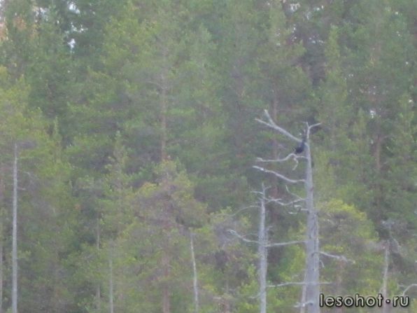 photo_00093.jpg
