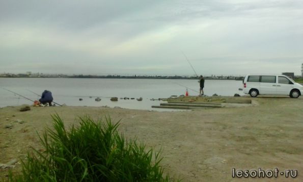 IMG_20140617_070833.jpg