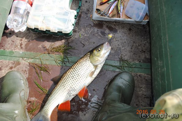DSC_0645.JPG