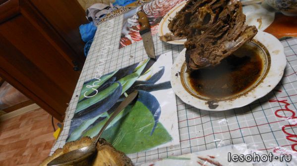DSCN1337.jpg