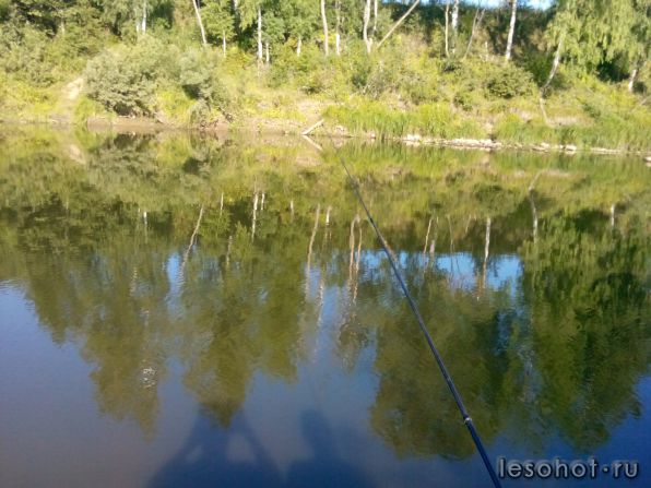 IMG_20140803_084920.jpg