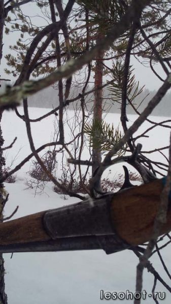 20170326_115142.jpg