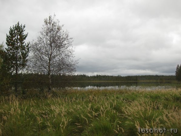 IMG_0037.JPG
