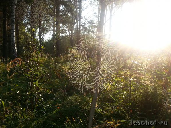 20170828_063227.jpg