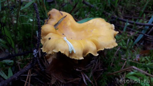 20180713_090001.jpg