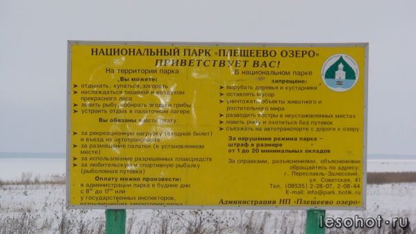 DSC03953.JPG