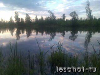 157bcadae8410cc85422cf7a2b5033d7.jpg