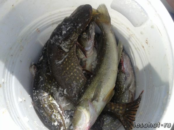 20140727_125700.jpg