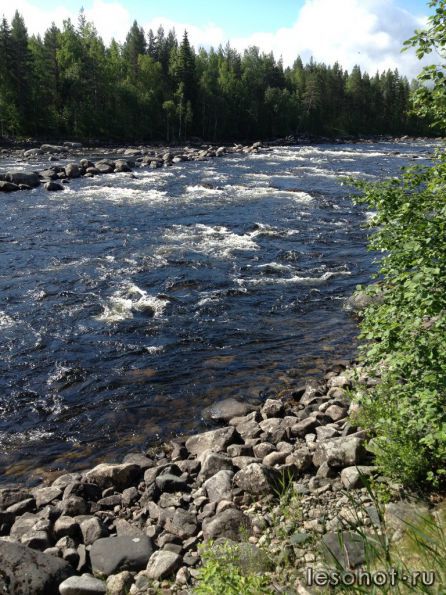 photo_00340.jpg