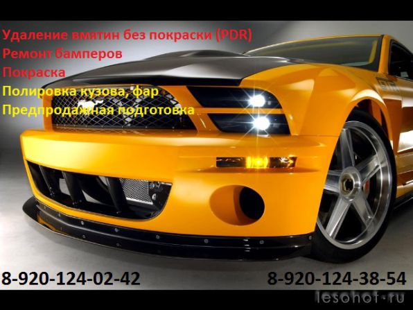 7153800.jpg