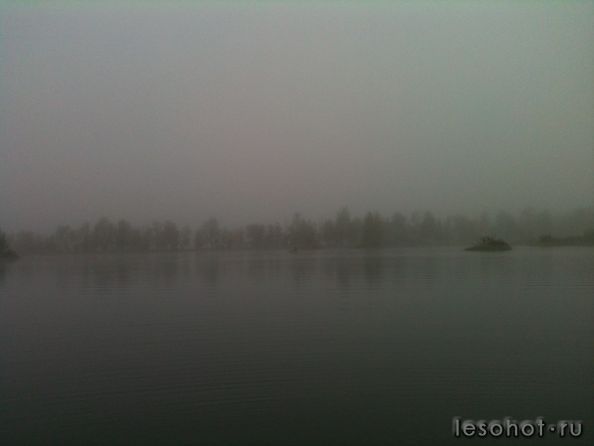 IMG_0170.jpg