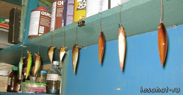 IMG_1077.jpg