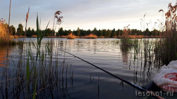 20180527_040820.jpg