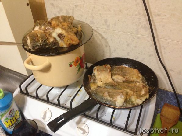 2013-11-28 21-07-54.JPG