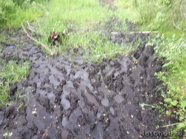 20180613_174550.jpg