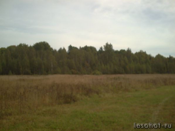 PICT0019.JPG
