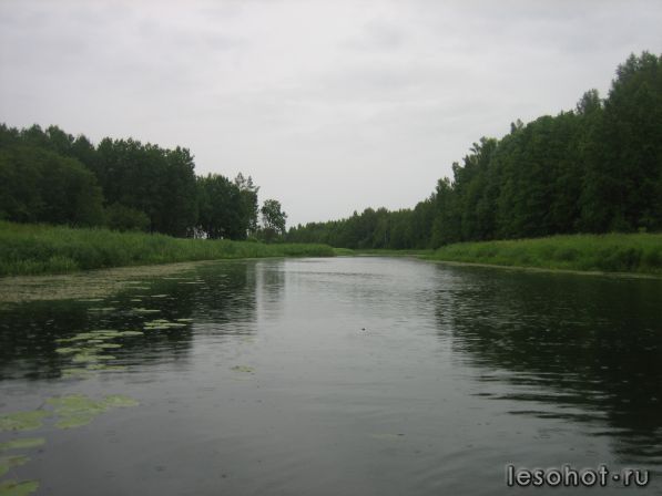 IMG_6853.JPG