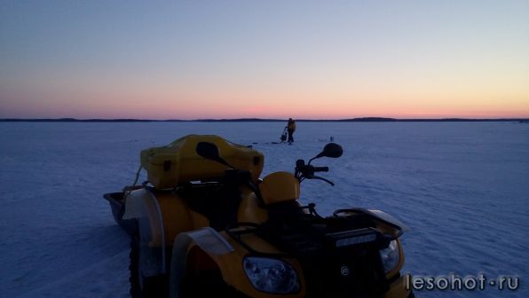 photo_00161.jpg