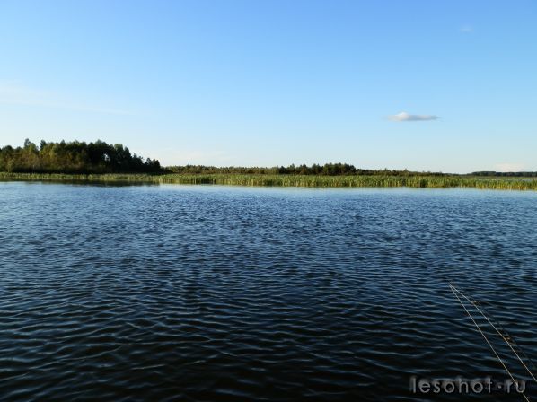P8110006.JPG