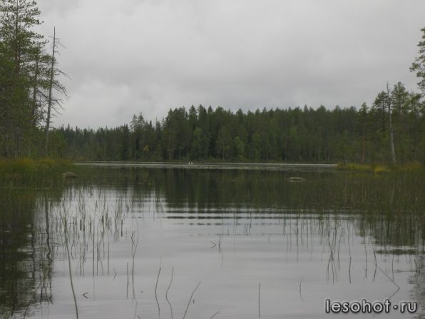 z_9e7eb966.jpg