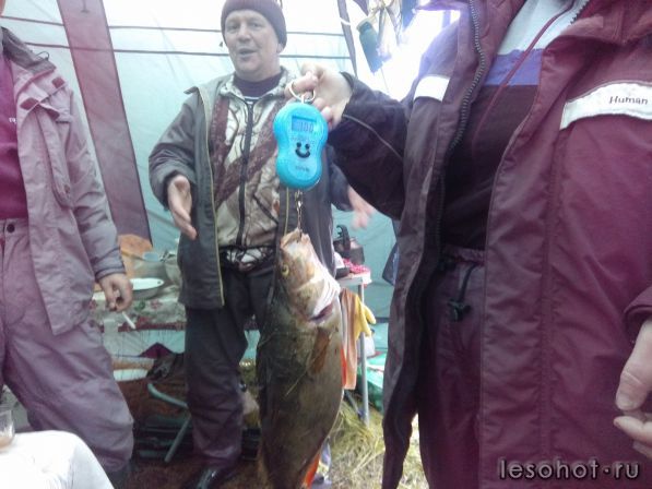 IMG_20170807_170442.jpg
