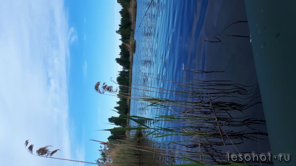 20180527_062745.jpg