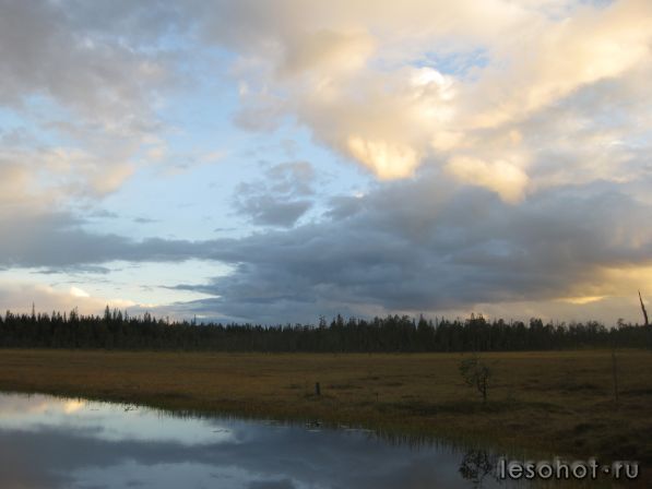 IMG_0121.JPG