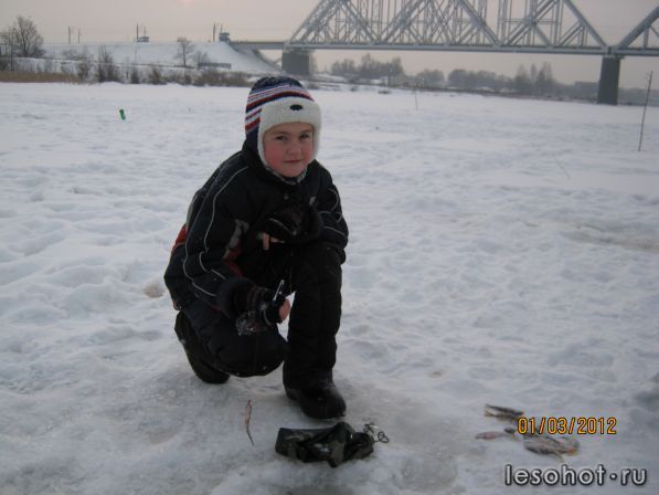 IMG_0158.jpg