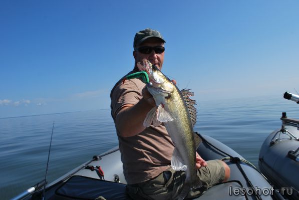 DSC_7242.JPG