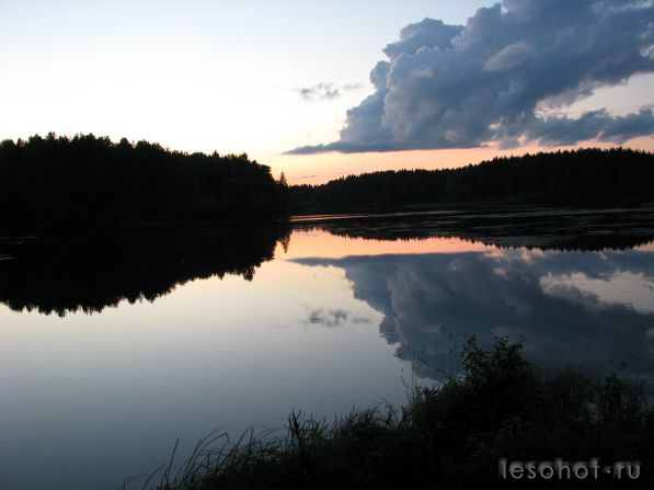 IMG_2717.jpg