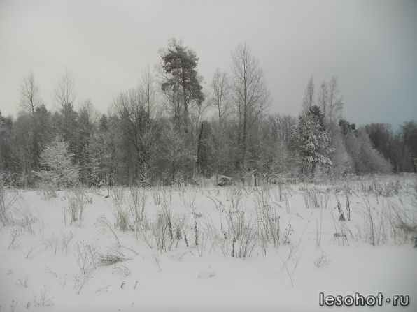 DSCN1444.jpg