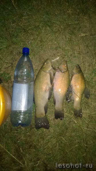 WP_20150705_002.jpg