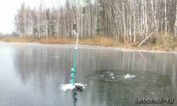 IMG_20141122_101609.jpg