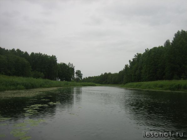 IMG_6850.JPG