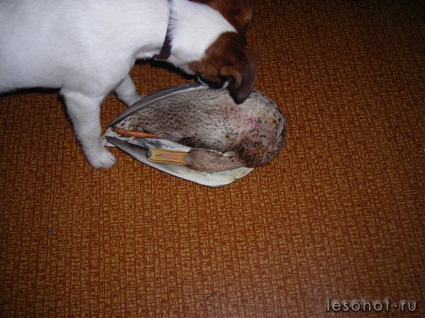DSCN2509.JPG