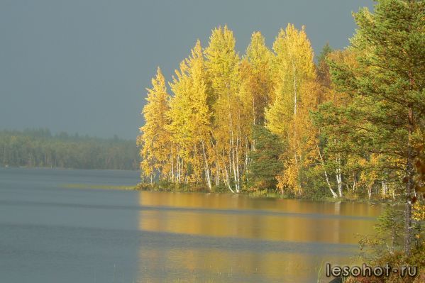 P1110031.JPG