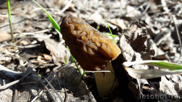 20180509_093853.jpg