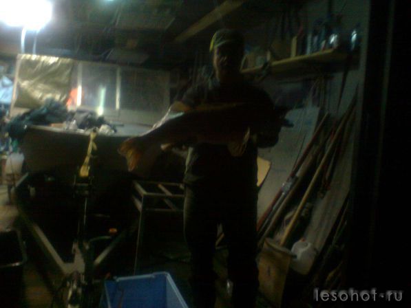 ������������ ������ 2012�..jpg