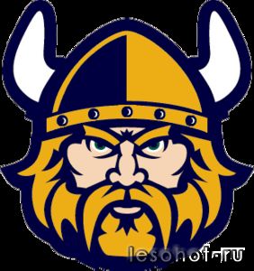 13360335491904078261viking cut-md.png