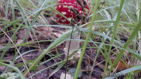 2012-08-31-666.jpg