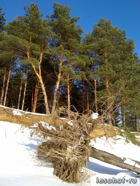 03032012345.jpg