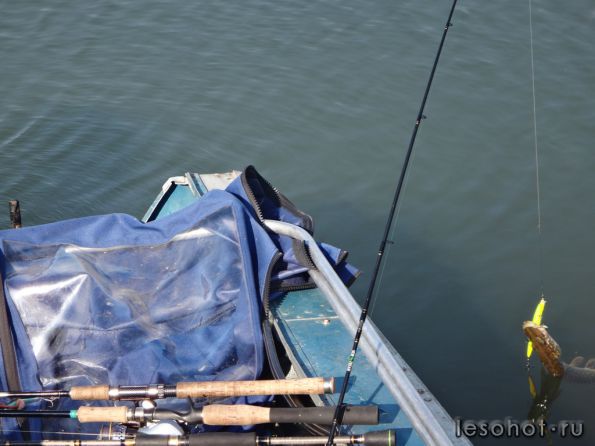 ����� 18.09.14 (8).JPG1.JPG