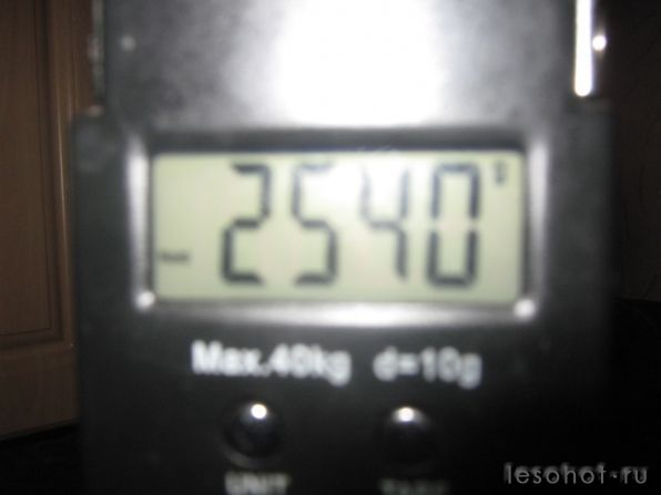  1263.jpg